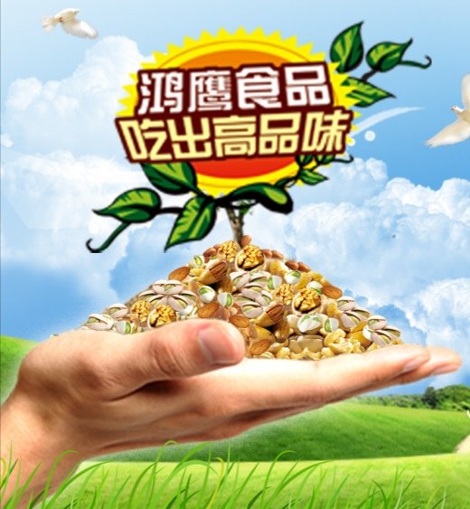 佛山市高明鸿鹰食品有限公司